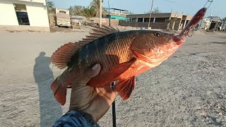 Aventura de pesca en las orillas de un muro