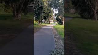 Enjoy Nature, Morning Run in Winter 4, VIC Australia #shorts #nature #calming #listen #running