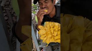 Sweet Jackfruit #sweetfruit #mukbang #asmr #yellowfood