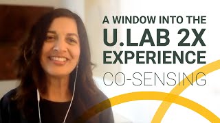 A Window into the u.lab 2x Experience | Co-Sensing