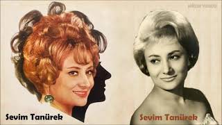 Sevim Tanürek - İçime Doğmuştu Sanki