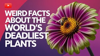 Weird Facts About the World's Deadliest Plants