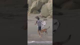 Stray Dog Trolls Pro Surfer Johny Corzo