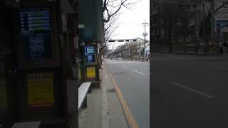 What is happening in South Korea || #southkorea #jeonju