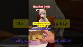 DOG AGAINST INEQUALITY