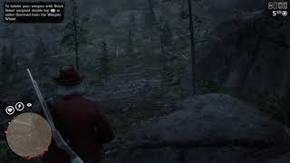 Red Dead Redemption 2_when cougars fly...