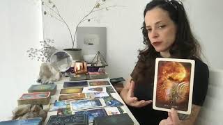 🐝⏱ GÊMEOS 🌬 ♊️✨ | Pollination Tarot