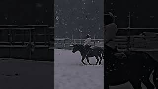 На видео моя сестра #horse