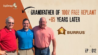 Burrus Seed - Grandfather of 100% Free Replant +85 Years Later