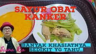 Sayur Obat Kanker! Banyak khasiatnya mencegah berbagaii penyakit mematikan dan sedikit orang tahu