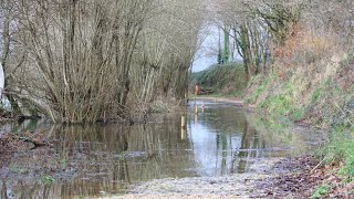 Hucklesbrook flooding update