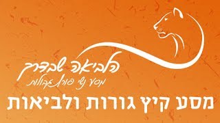 הלביאה שבדרך- הלביאה והגורות- כתוביות