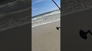 Easy fishin #fishing #beach #surffishing #outdoors #trending