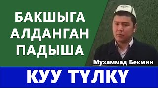 Бакшыга алданган ПРЕЗИДЕНТ | КУУ ТҮЛКҮ | Мухаммад Бекмин