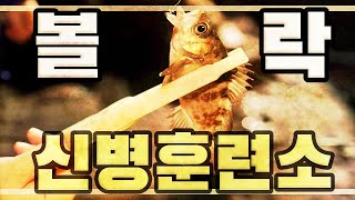 볼락 신병훈련소 사이즈는 작지만 마릿수는 괜찮아~ Catch & Release