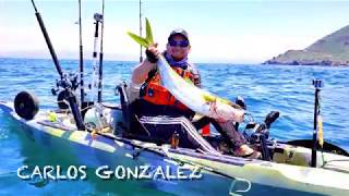 PESCA EN KAYAK- CALICOS y YELLOWTAILS- KAYAK FISHING