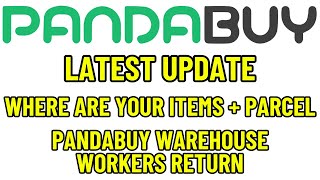 Pandabuy Latest UPDATE! Where are Your Items & Parcel | Workers Returning