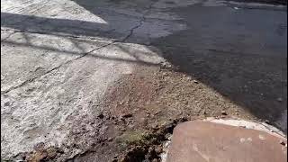 Пивзавод в Вольске заливает вода по силовому кабелю