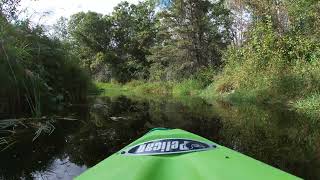 Let's go Kayaking!  Pelican Kayak.