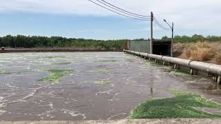 wastewater treatment