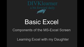 Video 1 Component of Excel