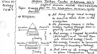 Class 10|| Energy flow in an ecosystem as a non cyclic Process  || Biology Chapter 7