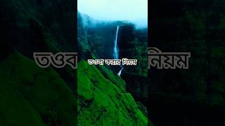 #shortsvideo #nature #ইস্তেগফার #islamicstatus #mizanur_rahman_azhari #towba #naturalbeauty #beauty