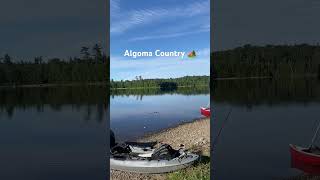 Backcountry CANOE Camping🏕️  #algomacountry #getoutdoors #lakesuperior #laketrout #backcountry