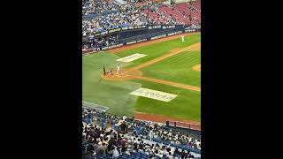 Baseball cheering in Korea!