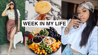 WEEKLY VLOG🔅 | Shooting Content, Brunch, Suite Tour + Spa Day!