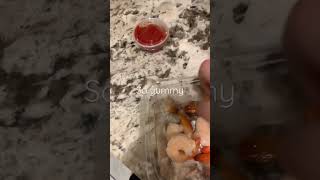 Shrimp #viral