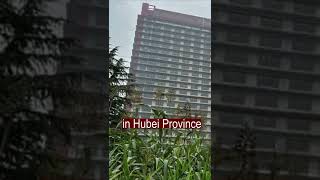 26-story skyscraper for pigs in China