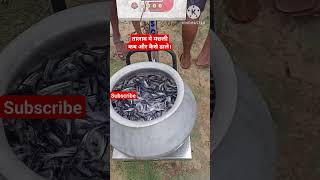 तालाब मे मछली कब और कैसे डाले। IMC FISH. JASAR FISH. fish farming bihar