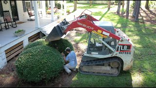 Pulling out Shrubs and Trimming Trees