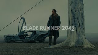 Beauty Of Blade Runner | Amazing Shots Of Blade Runner 2049