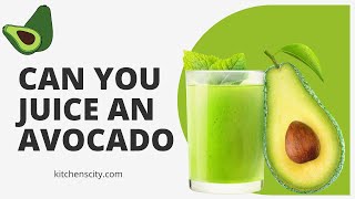 Can You Juice An Avocado- Kitcehnscity