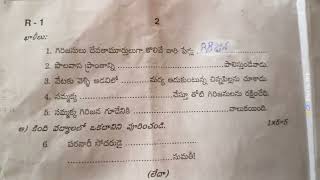 Summative Assessment 2 | 6 class Telugu Question Paper 2023 || Telugu Question paper