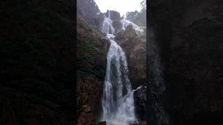 Dangari waterfall 📍 #shortvideo #waterfall #nature #explore