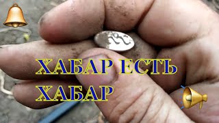 Огород дал хабар! коп По чужим огородам