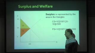 NEIU ECON Lecture Series 7 (Part 2): Efficiency and The Invisble Hand