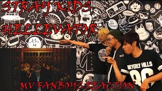 STRAY KIDS - HELLEVATOR MV REACTION FANBOYS VER | JYP NEW KIDS