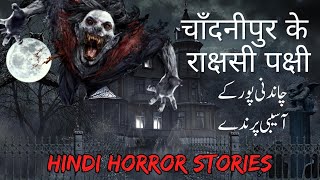 चाँदनीपुर के राक्षसी पक्षी | چاندنی پور کےآسیبی پرندے | Hindi horror stories