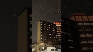 Snowfall In Edmonton 🍁 #shorts #viral #canada #snow #snowfall #1314canada #like #shortvideos