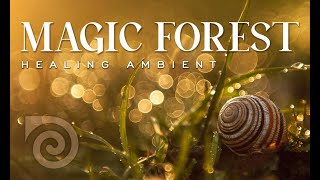 MAGIC FOREST ~ One hour of relaxing ambient for sleep, healing, meditation and stress relief