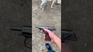 Gun