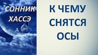 К чему снятся осы. Сонник Хассэ. Толкование снов.