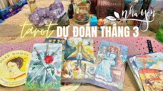 Nhã Yên Tarot || Dự đoán tháng 3 - điều bạn cần biết || Chọn một bộ bài