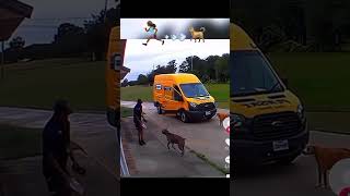 Delivery drivers run from dogs