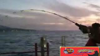 Junkies jig vs tuna on manado spot