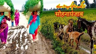 Unseen Village lifestyle| Traditional village culture| work in village| daily routine work